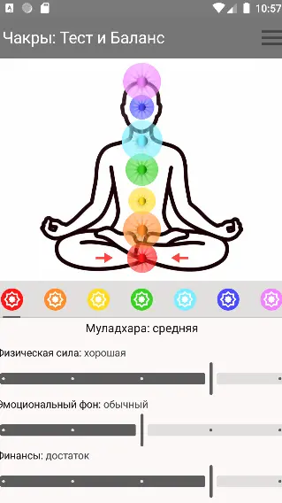 Скриншот приложения Чакры