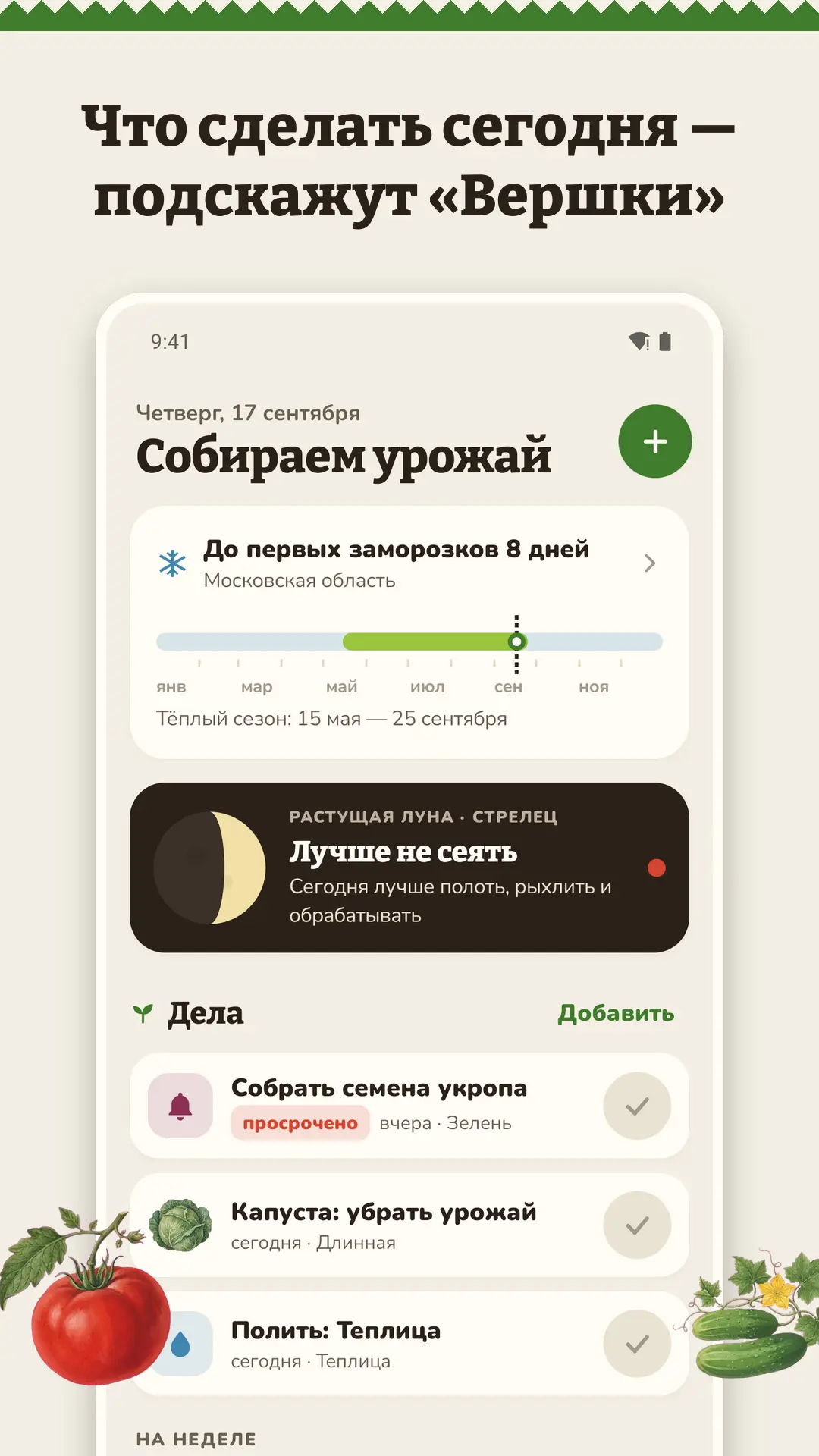 Скриншот приложения Вершки