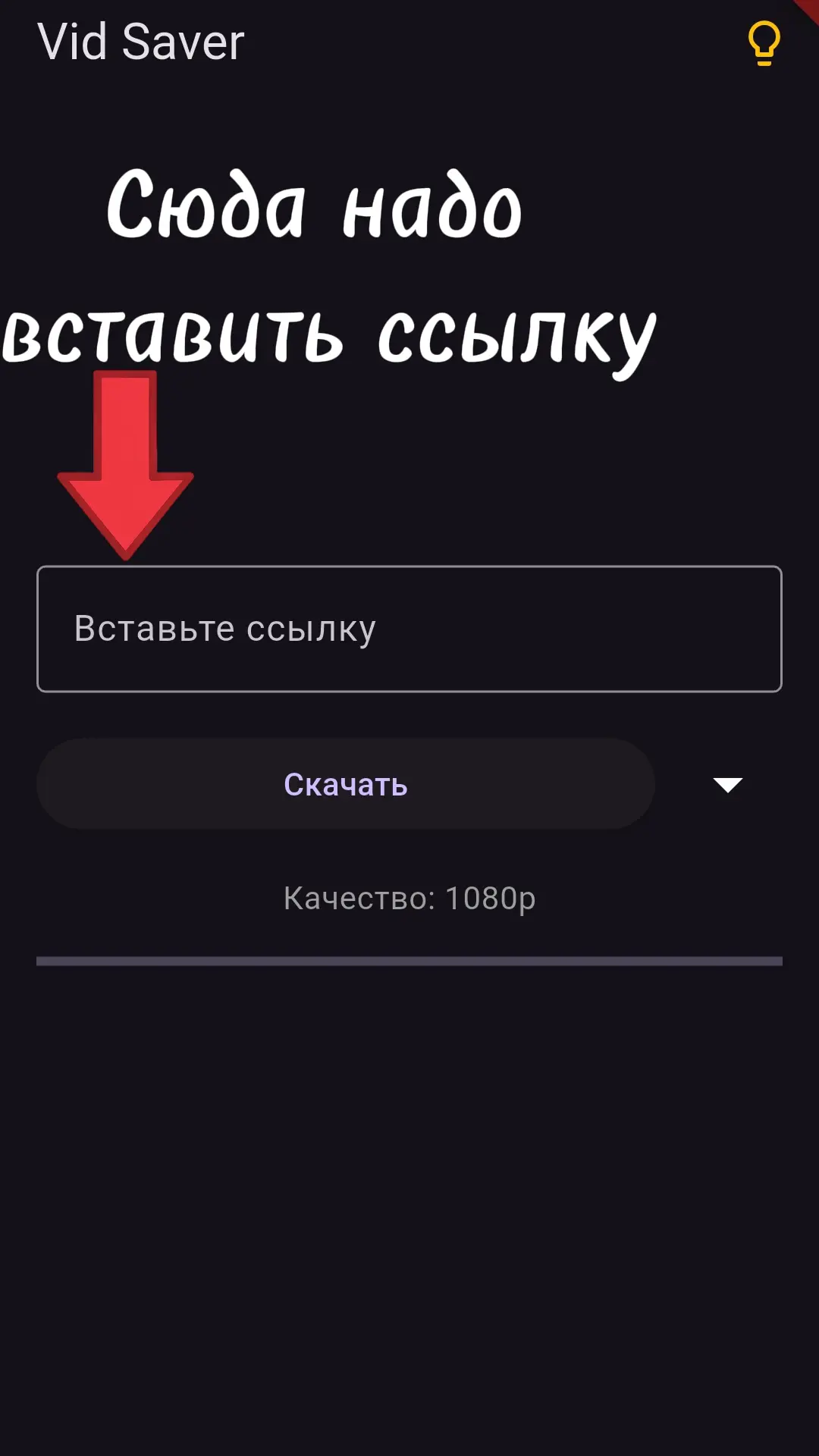 Скриншот приложения VidSaver