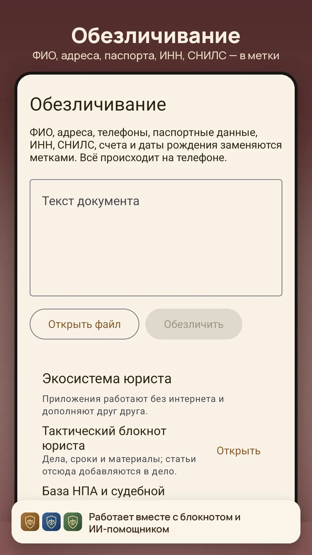 Скриншот приложения Обезличиватель