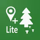Навигатор Грибника Lite